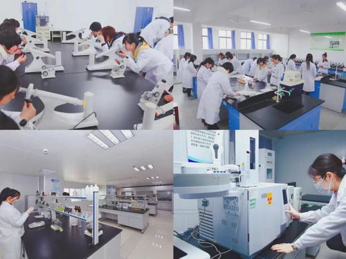 郑科金专食品科学与工程学院 立足专业优势，打造河南省综合改革试点与郑州市重点专业