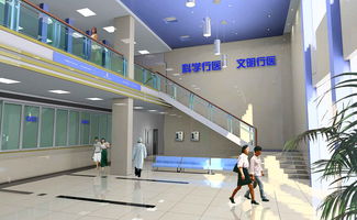 室内设计师全能训练 从新手到专业服务的成长之路