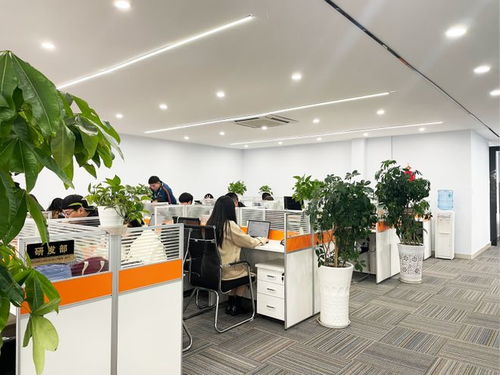 新疆小程序定制开发公司哪家权威？四川天健世纪科技实力与专业设计服务解读